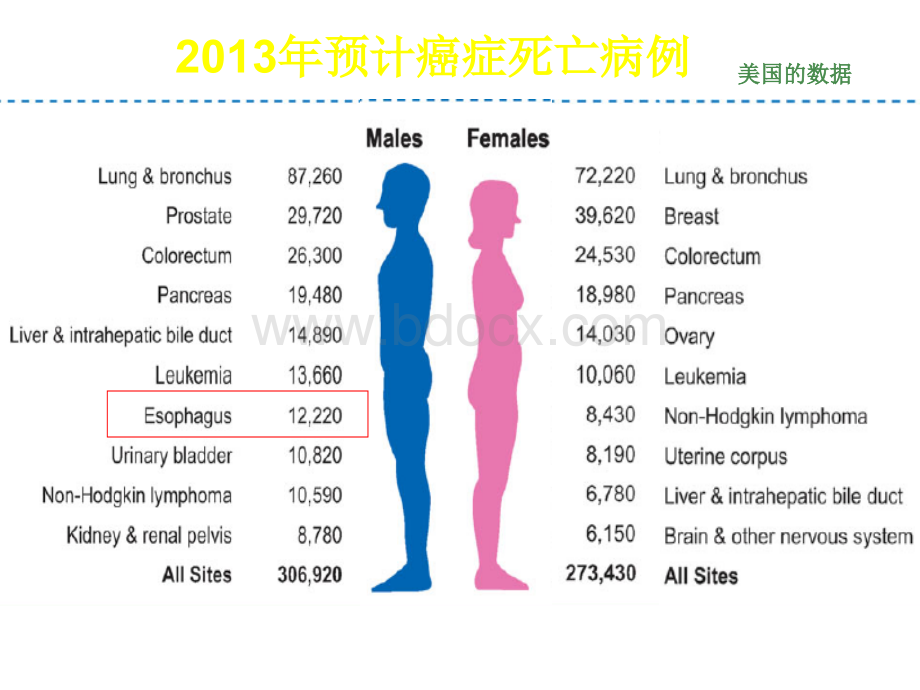 食管癌综合治疗的的思考-61页精选文档.ppt_第2页