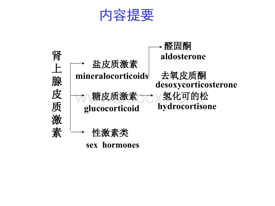 药理学-肾上腺皮质激素类药物_精品文档.ppt_第2页