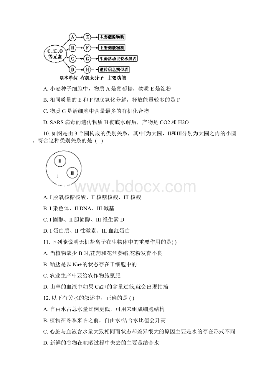 生物江西省赣州寻乌县二中届高三上学期期中考试试题解析版Word下载.docx_第3页