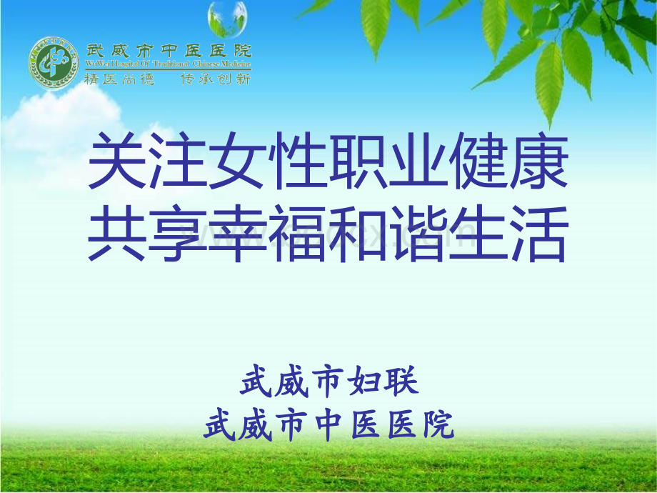 几种常见妇科病的预防与治疗常识PPT文档格式.ppt