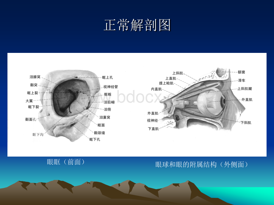 眼和眼眶的影像学诊断PPT格式课件下载.ppt_第3页