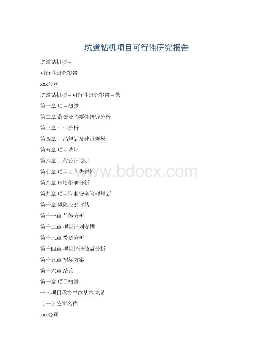 坑道钻机项目可行性研究报告.docx_第1页