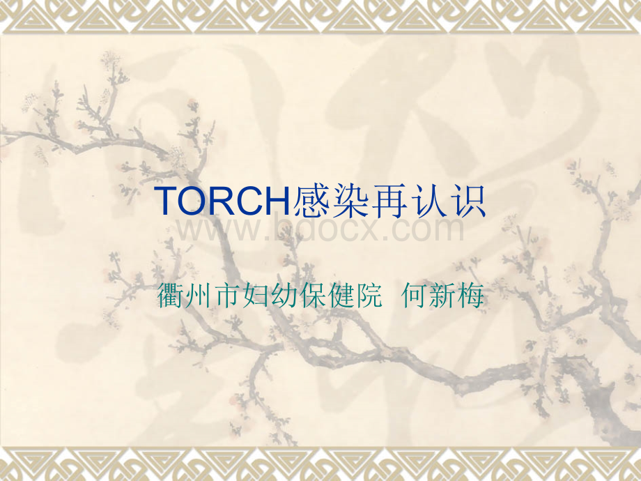 TORCH感染再认识.ppt