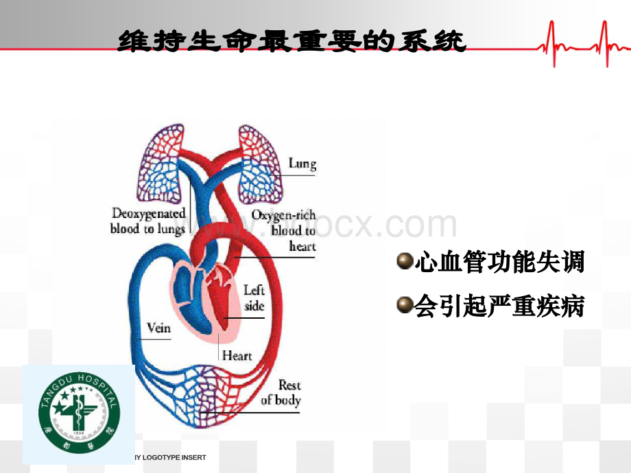 循环系统合理用药杨蒙蒙.pptx_第3页