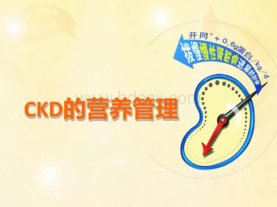 CKD营养治疗原则精品文档.ppt