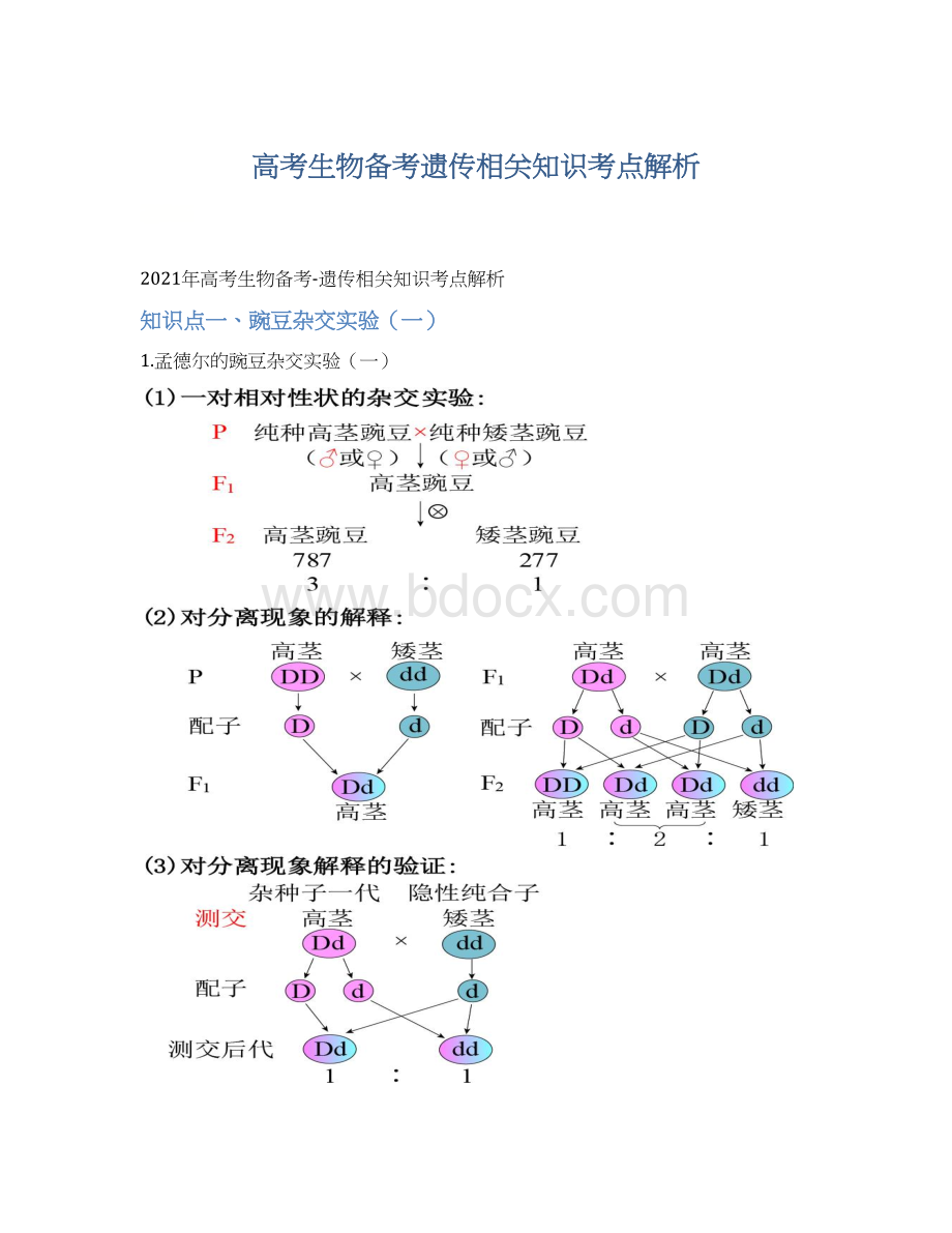 高考生物备考遗传相关知识考点解析.docx