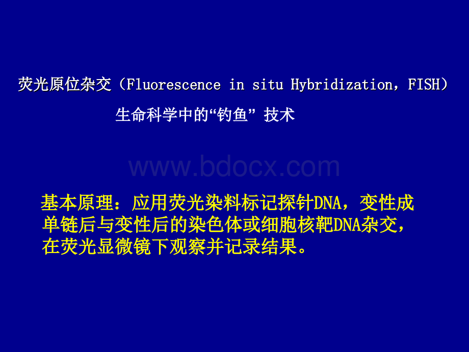 FISH技术临床应用优质PPT.ppt_第2页