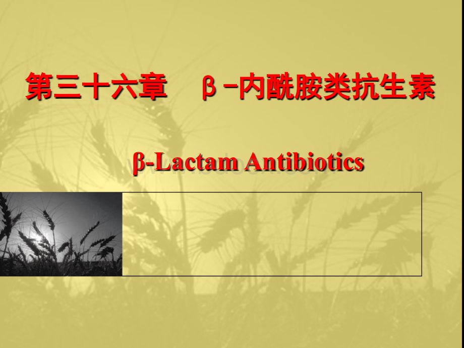 29β-内酰胺类抗生素PPT推荐.ppt