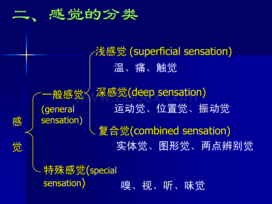 神经病学定位诊断讲课用.ppt_第3页