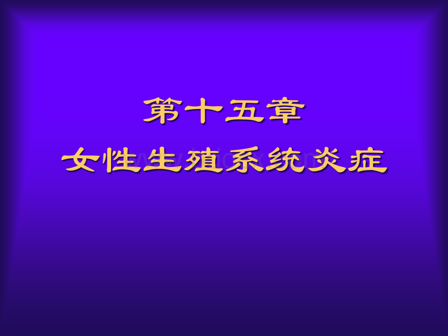 文档.ppt_第1页