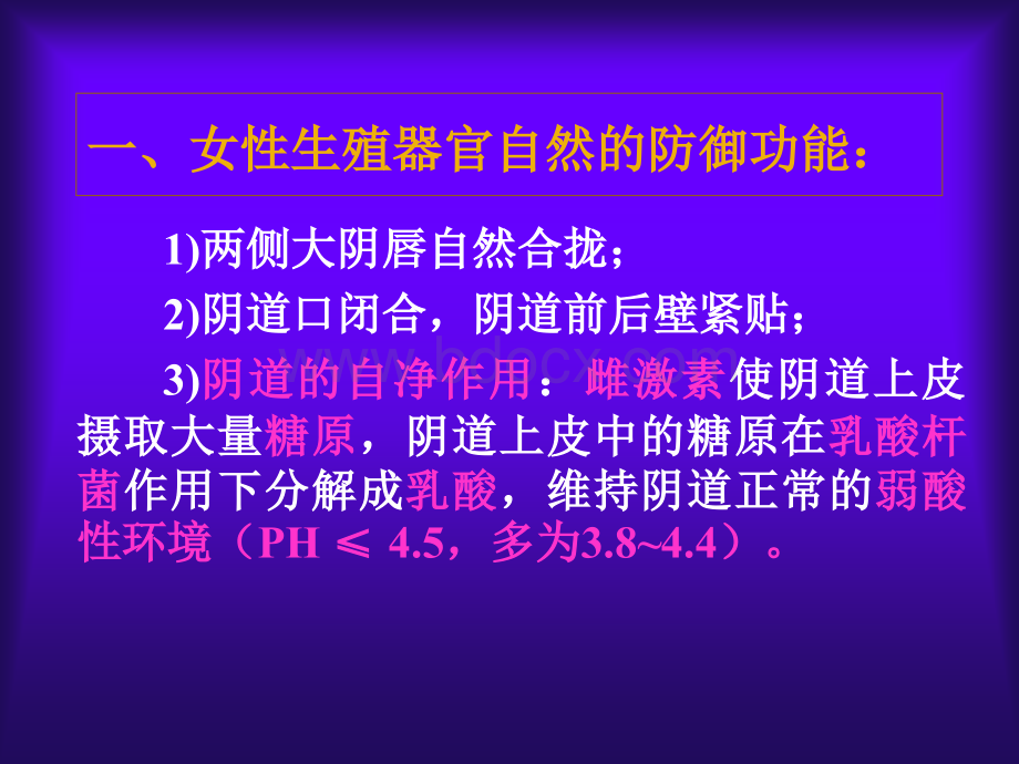 文档.ppt_第3页