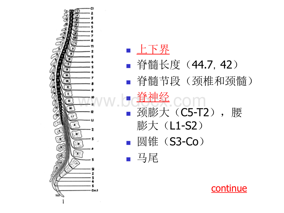 脊髓疾病的影像诊断华山医院_精品文档.ppt_第3页