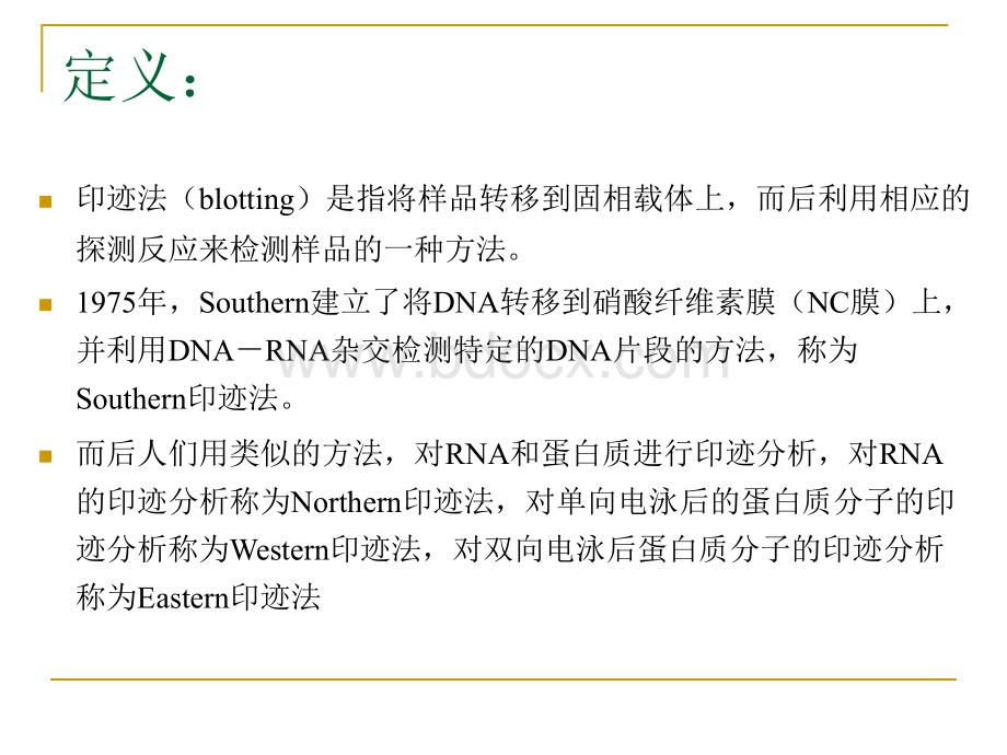 Western-blot-技术-详细版.ppt_第2页