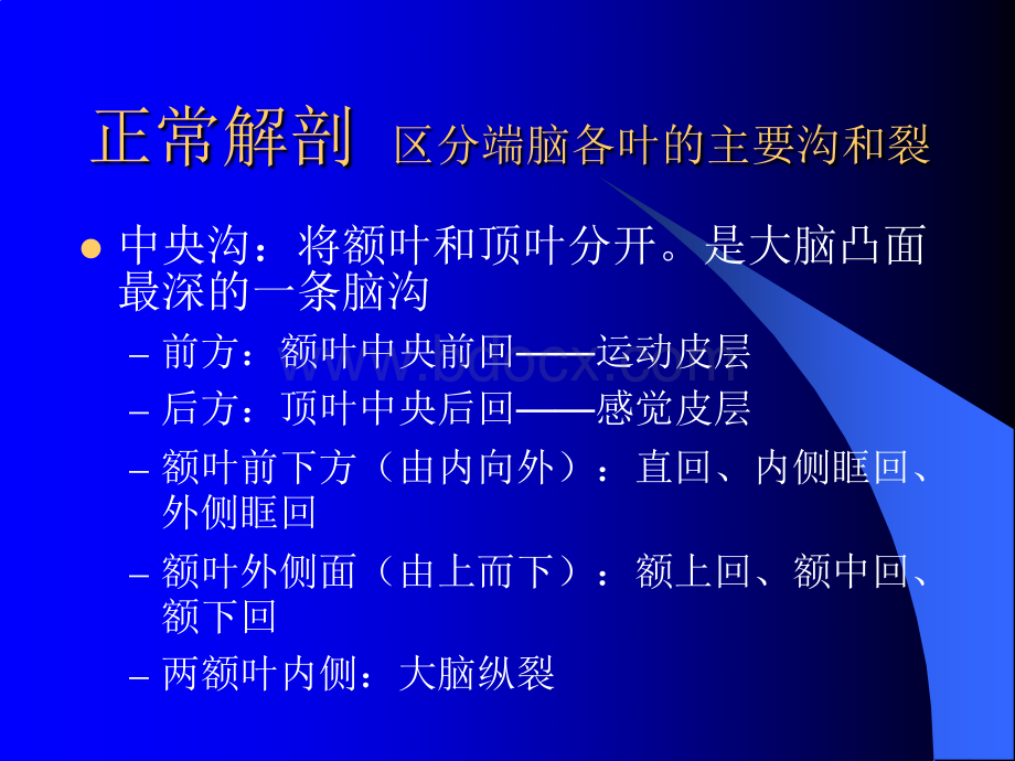 大脑超级详细图资料下载.pdf_第3页