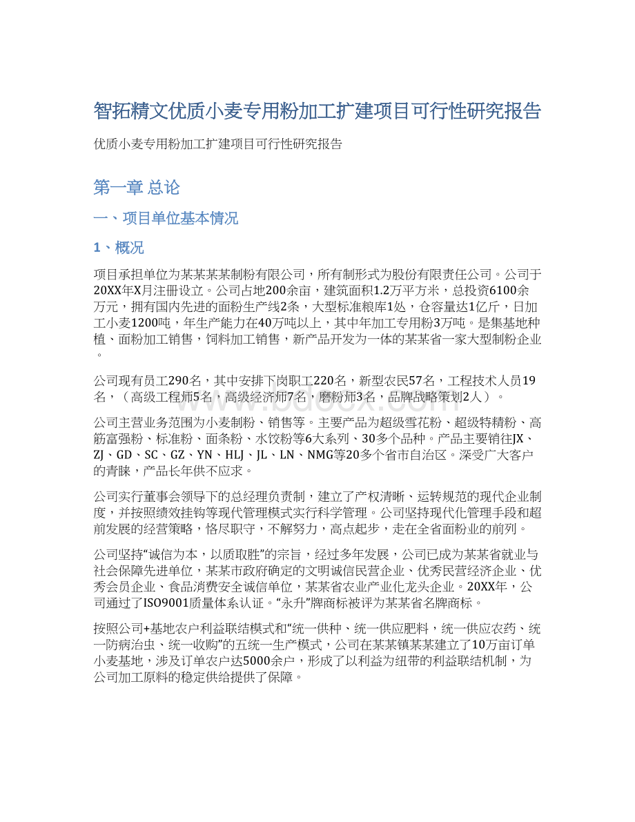 智拓精文优质小麦专用粉加工扩建项目可行性研究报告Word格式文档下载.docx