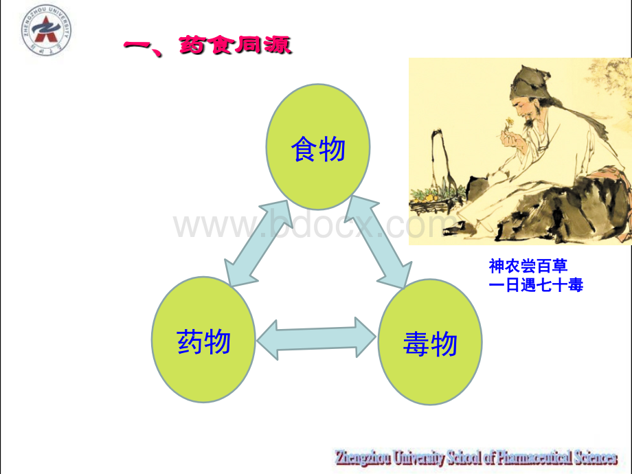 药食同源中药材的鉴别与应用_精品文档PPT格式课件下载.ppt_第3页