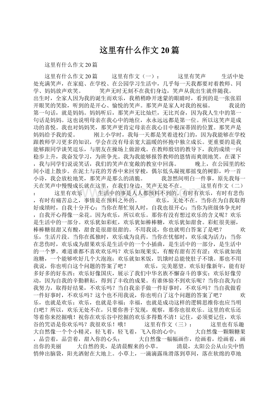 这里有什么作文20篇.docx_第1页