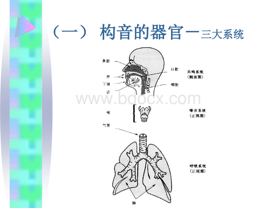 构音障碍的治疗.ppt_第2页