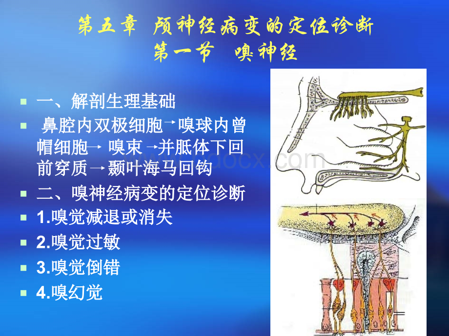 定位定性诊断.ppt_第2页