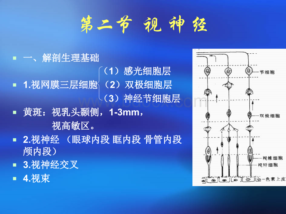 定位定性诊断.ppt_第3页