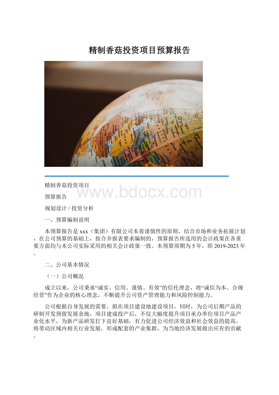 精制香菇投资项目预算报告.docx_第1页