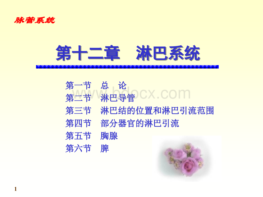 淋巴组织PPT资料.ppt_第1页