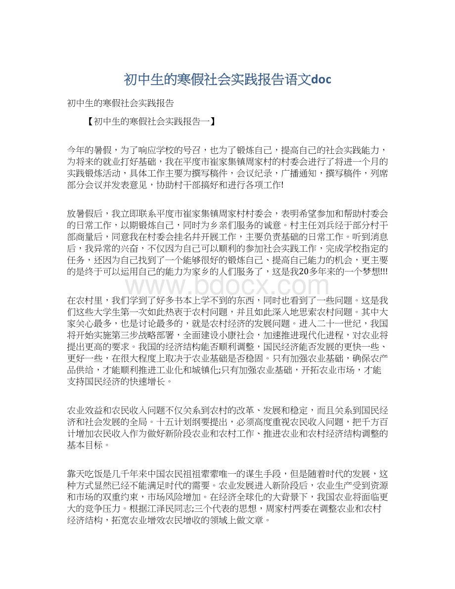 初中生的寒假社会实践报告语文docWord下载.docx