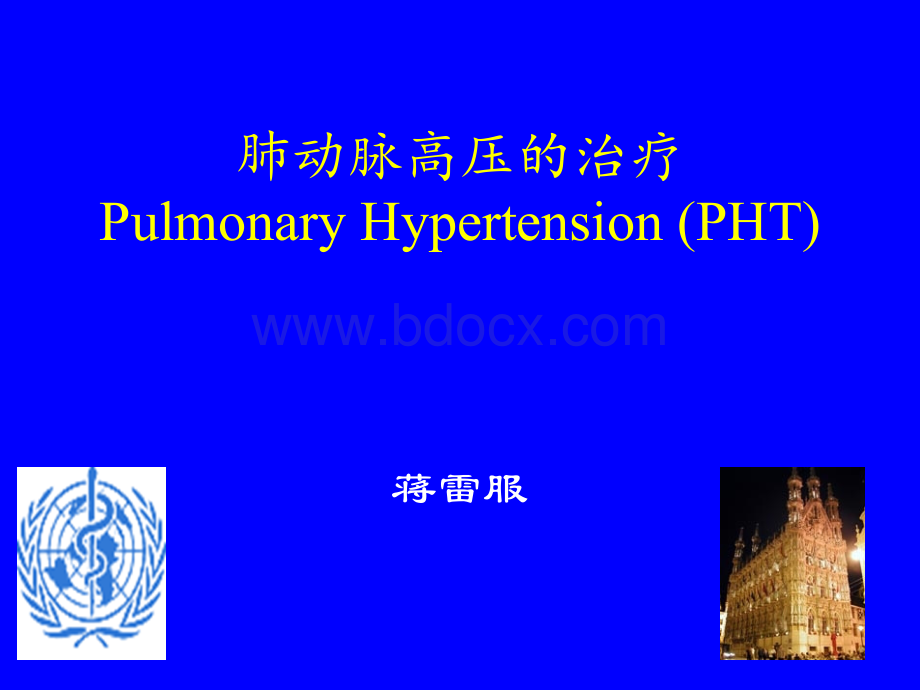 肺动脉高压的治疗PPT资料.ppt