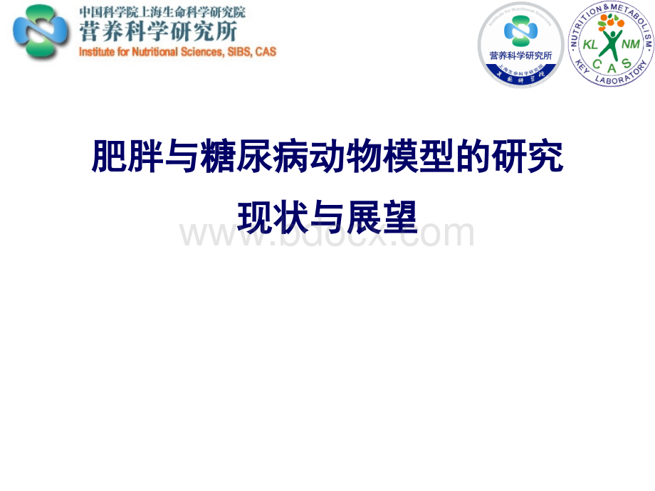 肥胖和糖尿病研究的动物模型现状与展望PPT文件格式下载.ppt