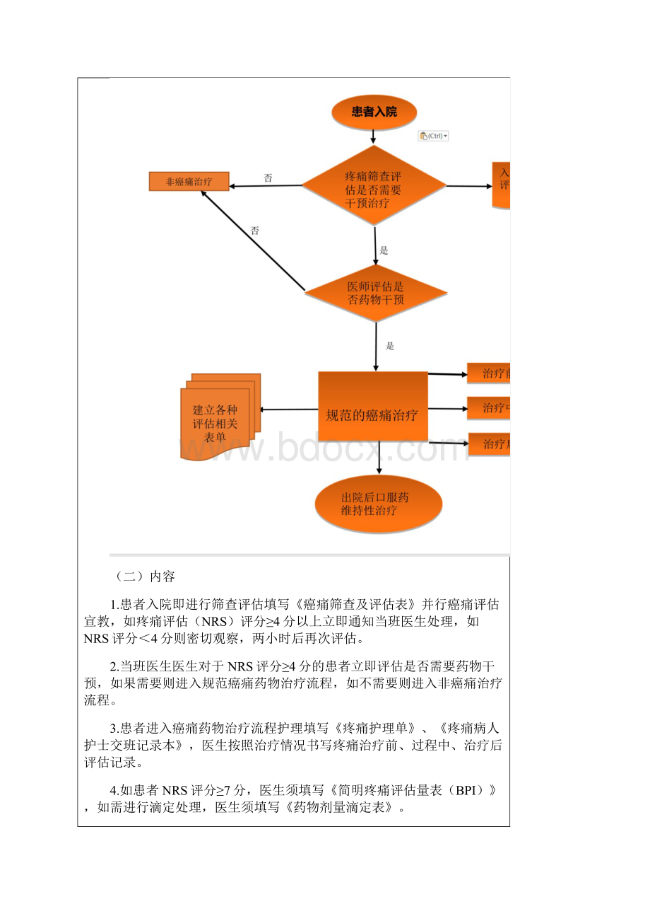 癌痛评估标准化文件.docx_第2页