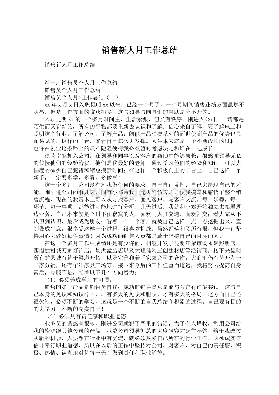 销售新人月工作总结Word文档下载推荐.docx