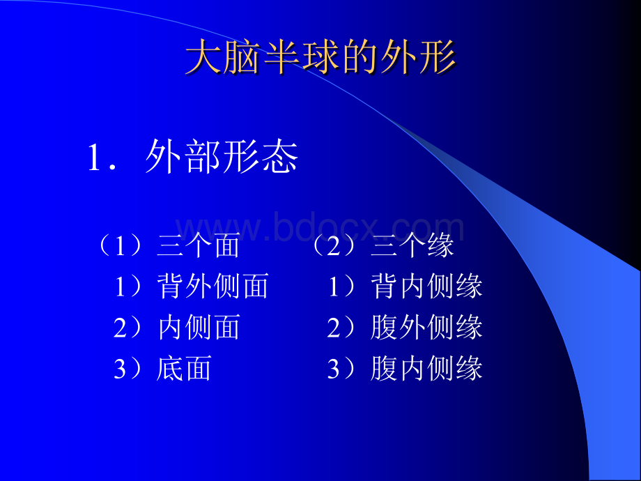 大脑的解剖生理及定位诊断PPT课件下载推荐.ppt_第2页