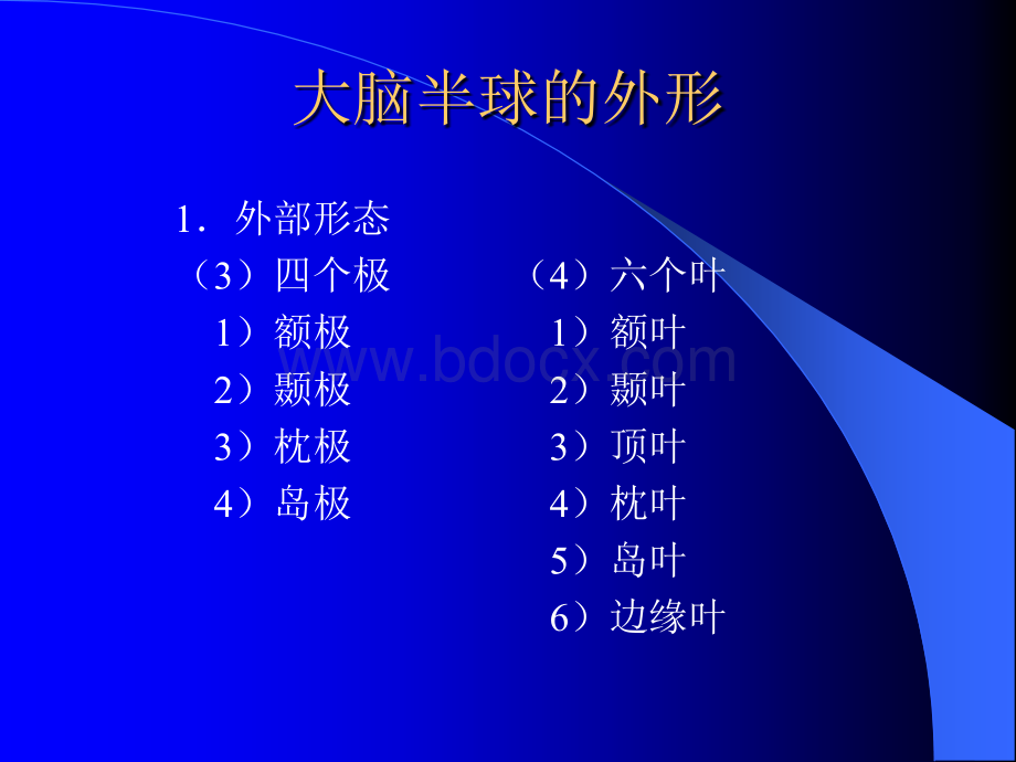 大脑的解剖生理及定位诊断PPT课件下载推荐.ppt_第3页