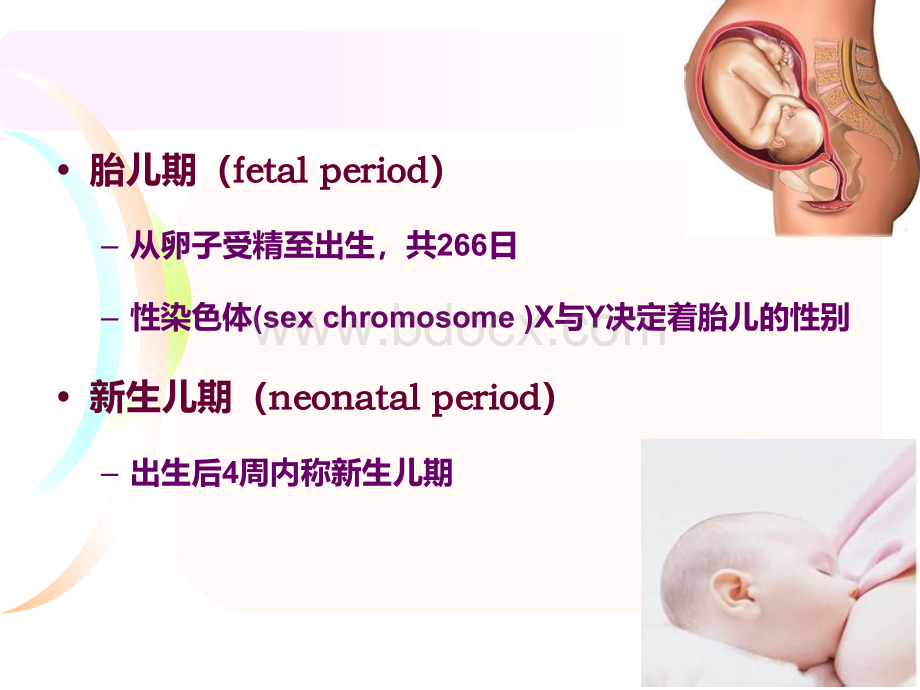 女性健康科普知识讲座.ppt_第3页