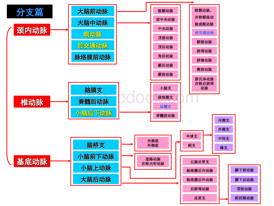 脑动脉分段分支与图解_精品文档PPT文档格式.ppt_第3页