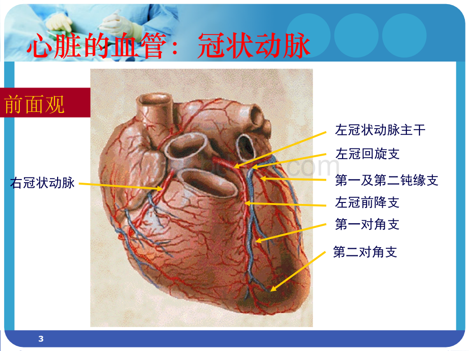 冠脉造影术的护理ppt课件PPT文件格式下载.ppt_第3页