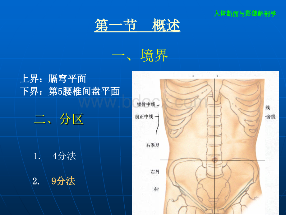 腹部断层影像解剖学_精品文档.ppt_第3页