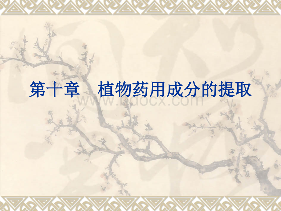 第10章植物药用成分的提取.ppt_第1页