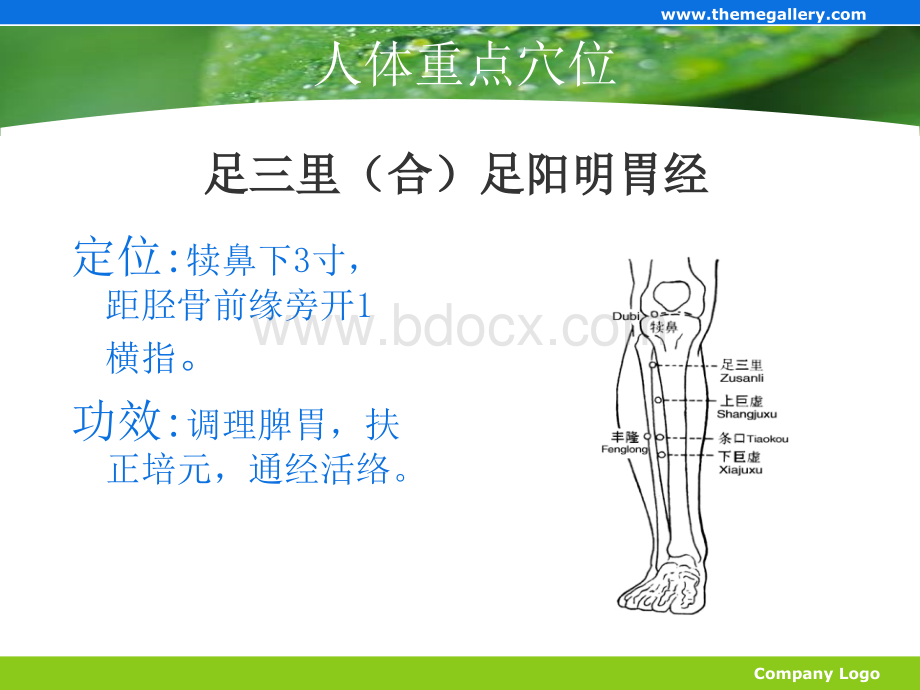 常见病的推拿治疗优质PPT.ppt_第2页