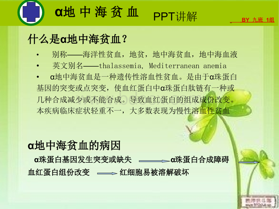 α地中海贫血PPT课件下载推荐.ppt