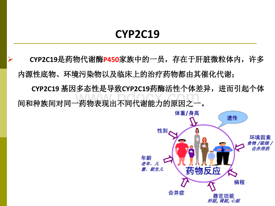 CYP2C19基因检测与氯吡格雷用药的关系.ppt_第2页