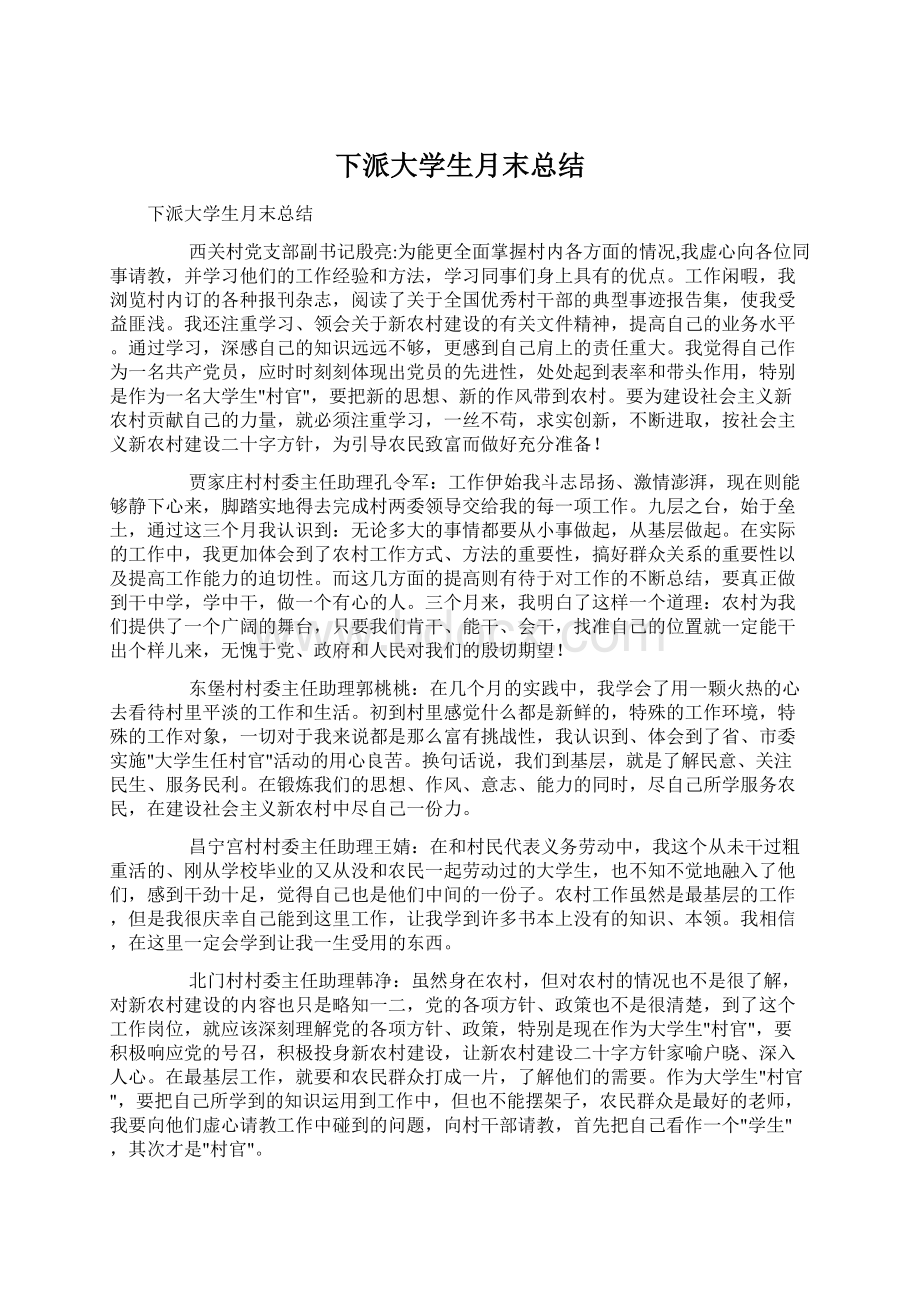 下派大学生月末总结Word格式.docx