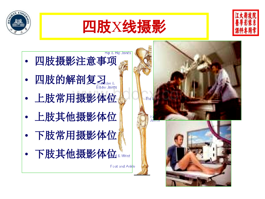 X线摄影位置学-1四肢摄影位置.ppt_第2页