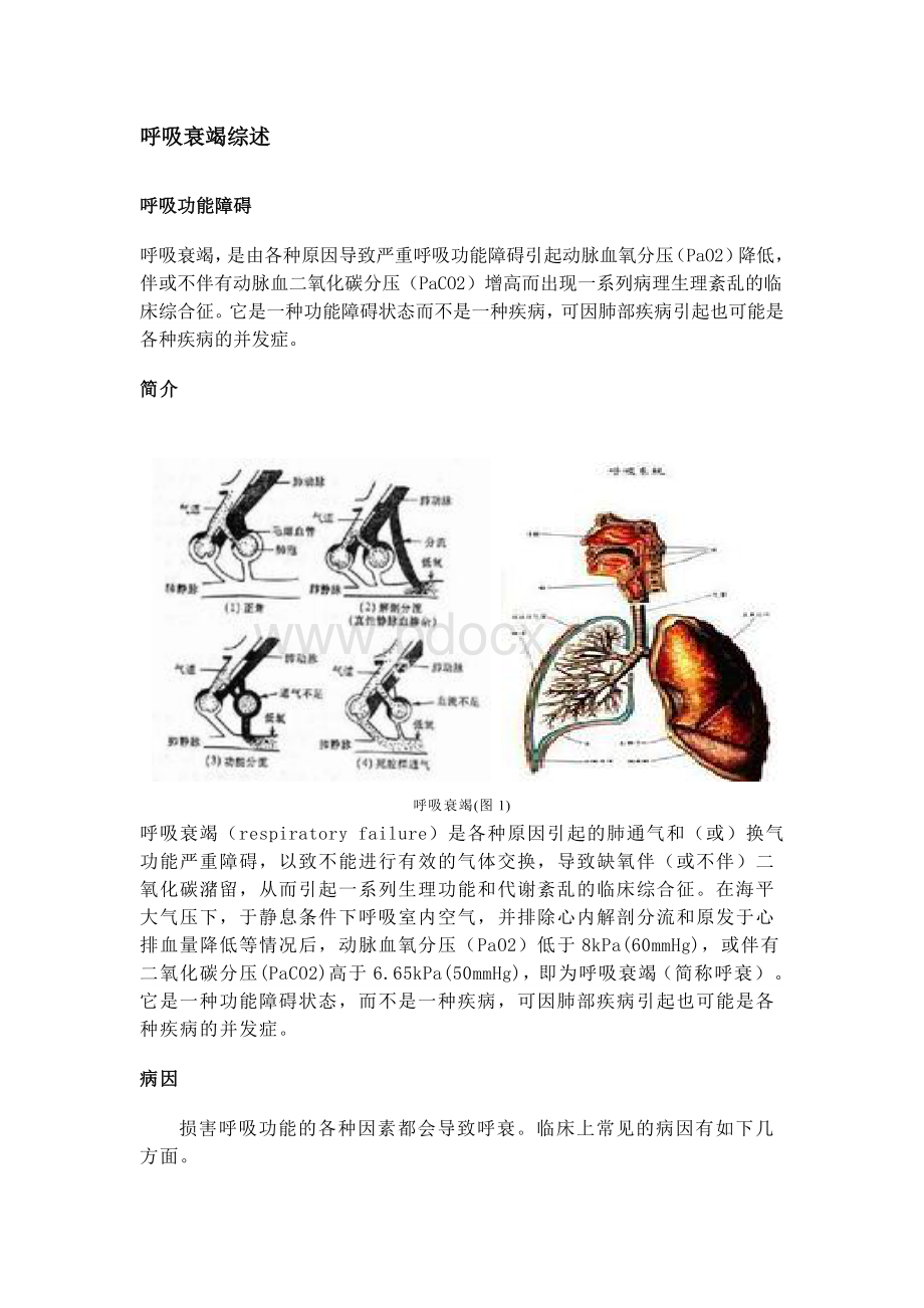 呼吸衰竭综述.doc