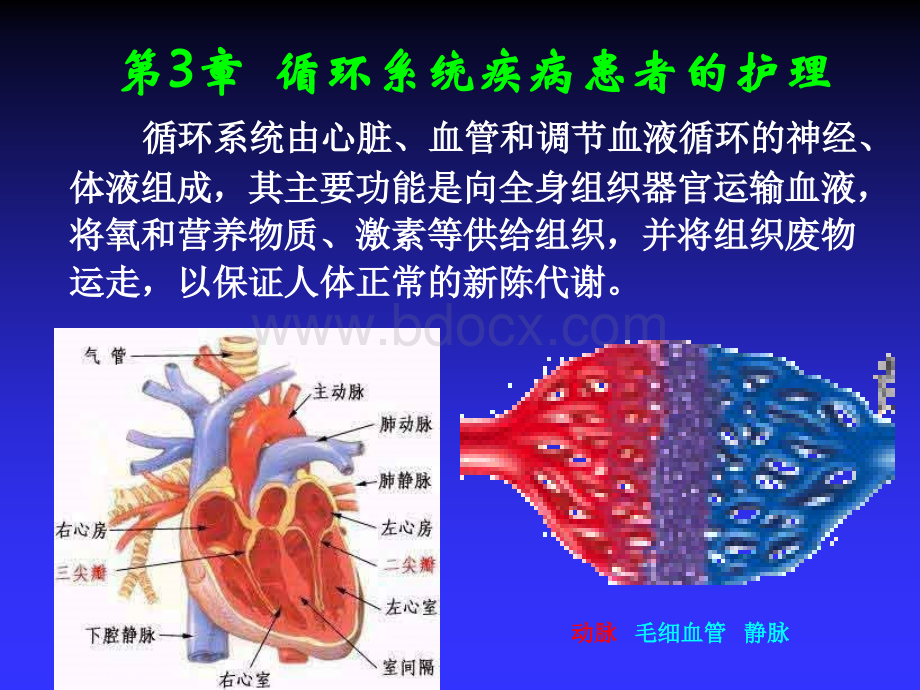 循环系统疾病常见症状的护理.ppt_第3页