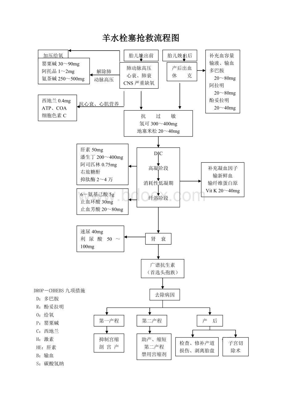 产后出血子痫羊水栓塞抢救流程图_精品文档Word文档格式.doc_第3页