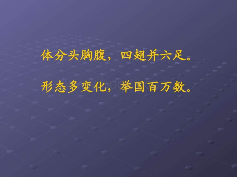 认识昆虫.ppt-图文.ppt_第3页