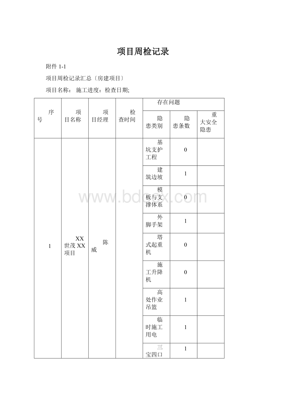 项目周检记录.docx