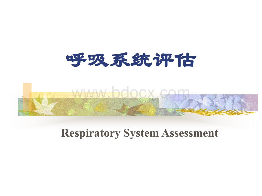 4-5呼吸系统评估.ppt_第1页