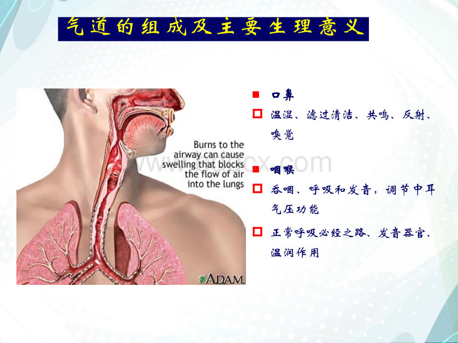 人工气道的建立精品文档.ppt_第3页